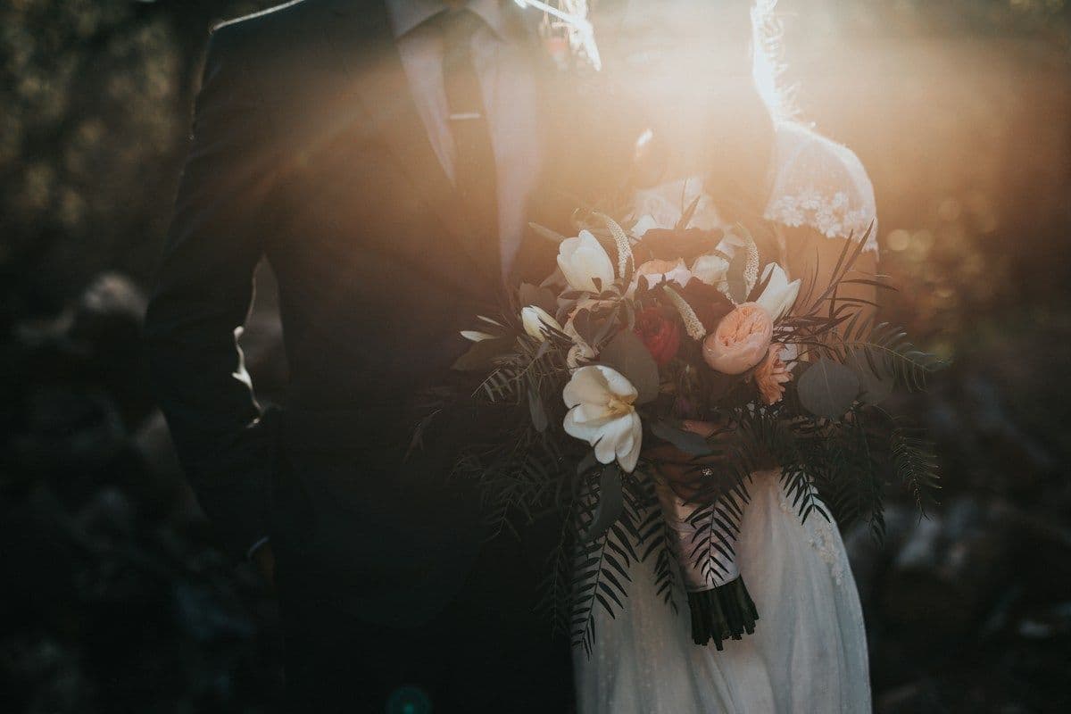 Silk & Starlight - Royal Botanical Editorial